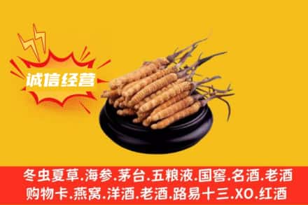鹤壁淇滨区回收冬虫夏草
